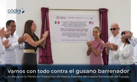 Vamos con todo contra el gusano barrenador