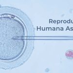 Reproducción Humana Asistida | 29 de junio de 2026 | Escúchelo ahora