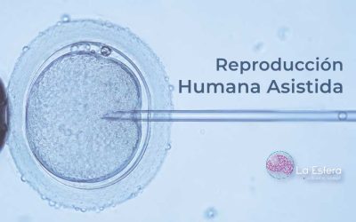 Reproducción Humana Asistida | 29 de junio de 2026 | Escúchelo ahora