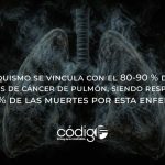 El tabaquismo se vincula con el 80-90 % de todos los casos de cáncer de pulmón, siendo responsable del 80 % de las muertes por esta enfermedad