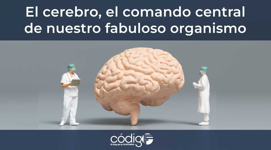 Cerebro-ComandoCentral