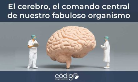 El cerebro, el comando central de nuestro fabuloso organismo