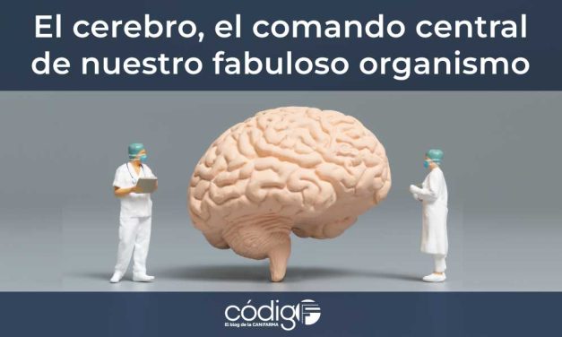 El cerebro, el comando central de nuestro fabuloso organismo