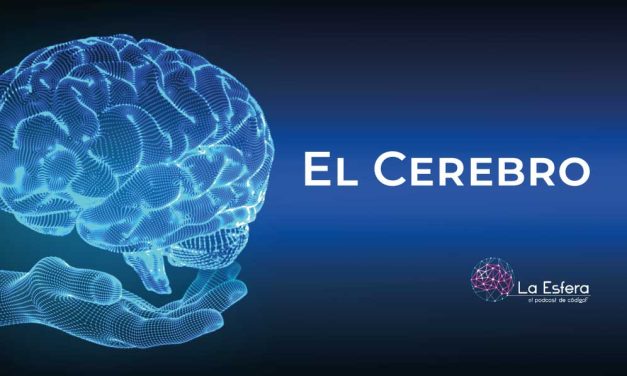 El cerebro | 20 de julio de 2026 | Escúchelo ahora