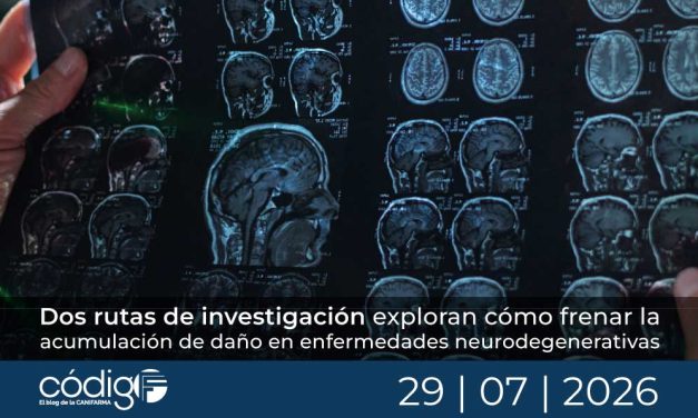 Dos rutas de investigación exploran cómo frenar la acumulación de daño en enfermedades neurodegenerativas
