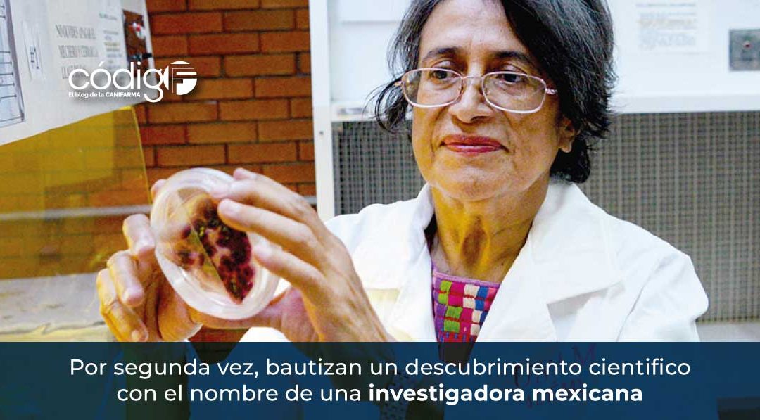 EsperanzaMartinez-BacteriasFijadorasdeNitrogeno