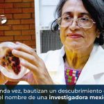 Por segunda vez, bautizan un descubrimiento científico con el nombre de una investigadora mexicana