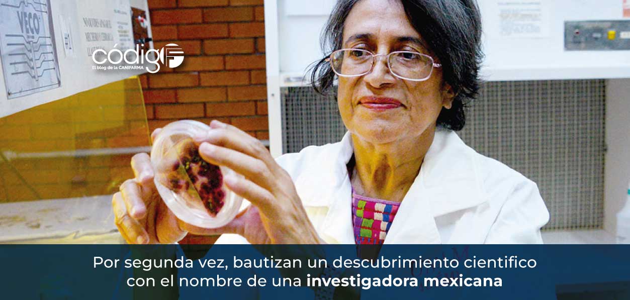 Por segunda vez, bautizan un descubrimiento científico con el nombre de una investigadora mexicana