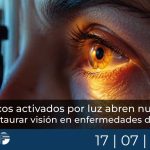 Fármacos activados por luz abren nueva vía para restaurar visión en enfermedades de retina