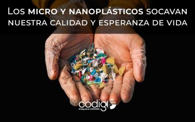 Los micro y nanoplásticos socavan nuestra calidad y esperanza de vida