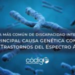 La causa más común de discapacidad intelectual y la principal causa genética conocida de los Trastornos del Espectro Autista