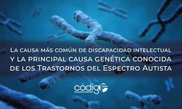 La causa más común de discapacidad intelectual y la principal causa genética conocida de los Trastornos del Espectro Autista