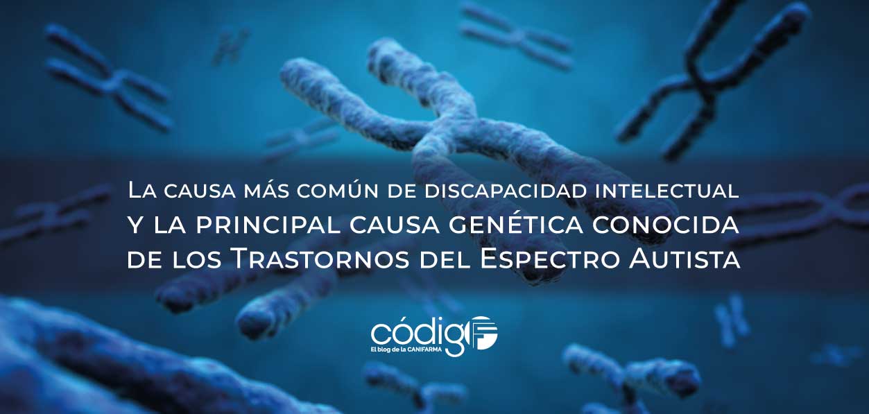 La causa más común de discapacidad intelectual y la principal causa genética conocida de los Trastornos del Espectro Autista
