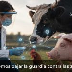 No podemos bajar la guardia contra las zoonosis