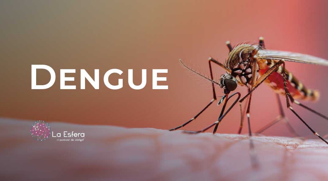 Dengue | 24 de agosto de 2026 | Escúchelo ahora