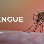 Dengue | 24 de agosto de 2026 | Escúchelo ahora