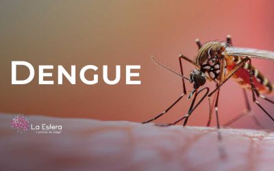 Dengue | 24 de agosto de 2026 | Escúchelo ahora