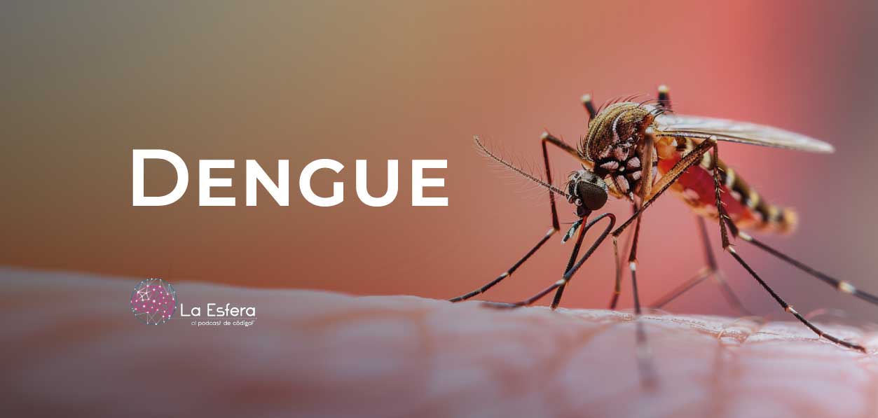 Dengue | 24 de agosto de 2026 | Escúchelo ahora