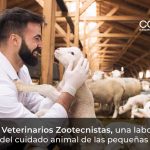 Médicos Veterinarios Zootecnistas, una labor que va más allá del cuidado animal de las pequeñas especies