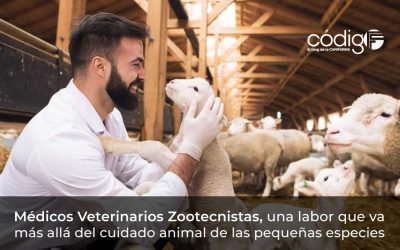 Médicos Veterinarios Zootecnistas, una labor que va más allá del cuidado animal de las pequeñas especies