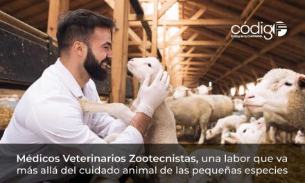 Médicos Veterinarios Zootecnistas, una labor que va más allá del cuidado animal de las pequeñas especies