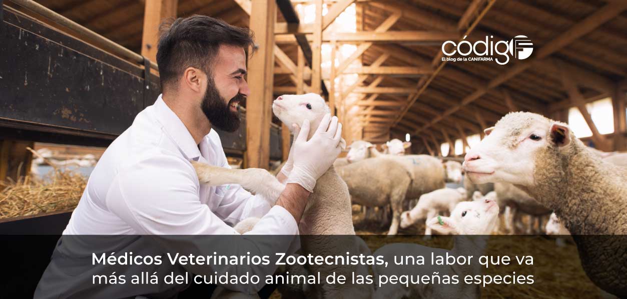 Médicos Veterinarios Zootecnistas, una labor que va más allá del cuidado animal de las pequeñas especies