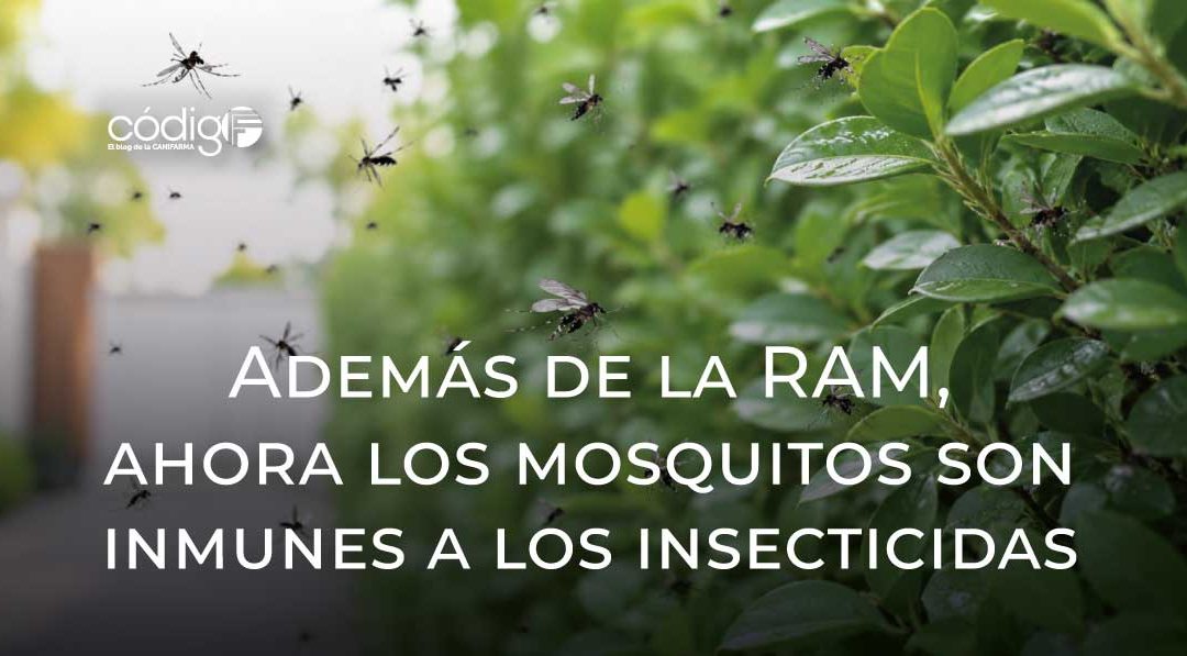 Además de la RAM, ahora los mosquitos son inmunes a los insecticidas
