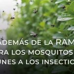 Además de la RAM, ahora los mosquitos son inmunes a los insecticidas