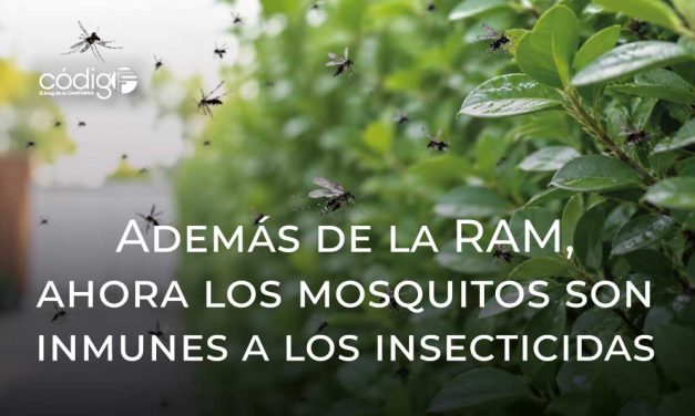 Además de la RAM, ahora los mosquitos son inmunes a los insecticidas
