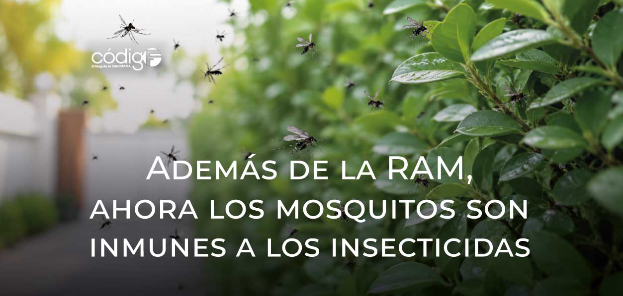 Además de la RAM, ahora los mosquitos son inmunes a los insecticidas