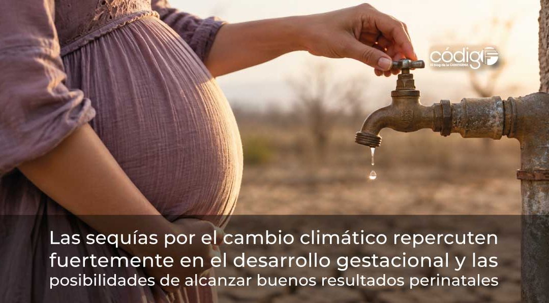 Las sequías por el cambio climático repercuten fuertemente en el desarrollo gestacional y las posibilidades de alcanzar buenos resultados perinatales