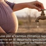 Las sequías por el cambio climático repercuten fuertemente en el desarrollo gestacional y las posibilidades de alcanzar buenos resultados perinatales