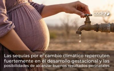 Las sequías por el cambio climático repercuten fuertemente en el desarrollo gestacional y las posibilidades de alcanzar buenos resultados perinatales