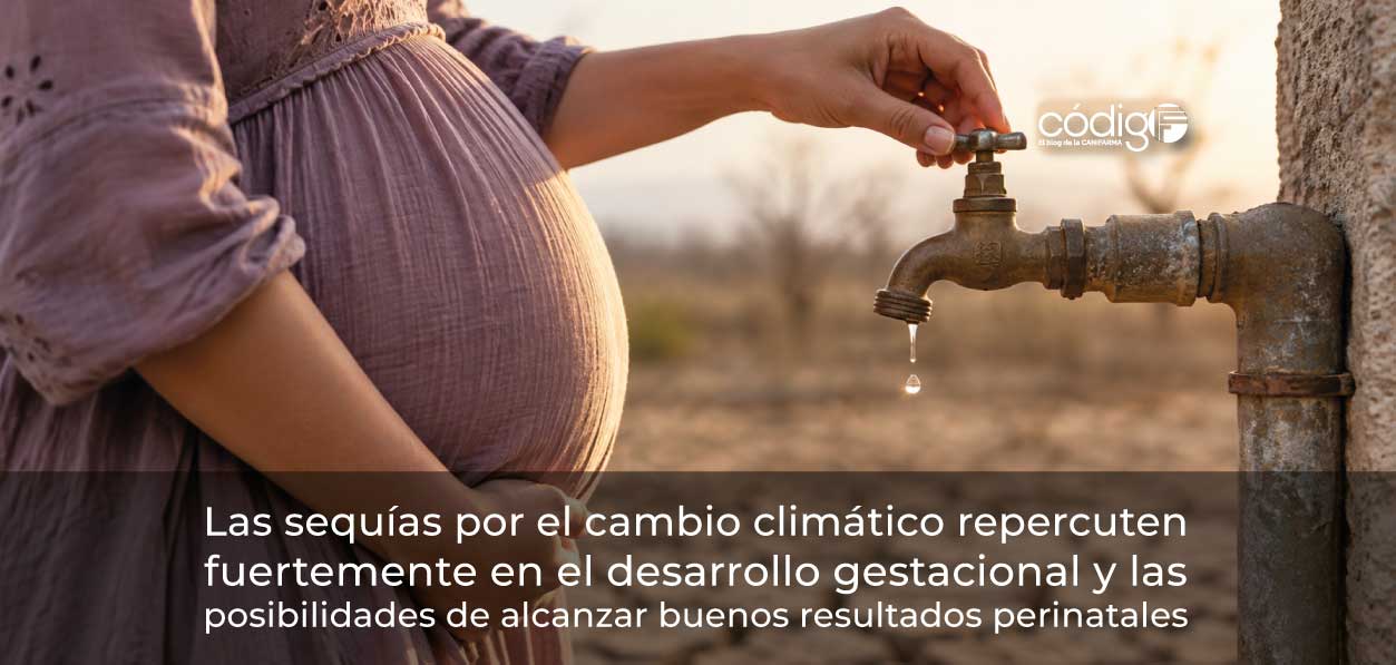 Las sequías por el cambio climático repercuten fuertemente en el desarrollo gestacional y las posibilidades de alcanzar buenos resultados perinatales