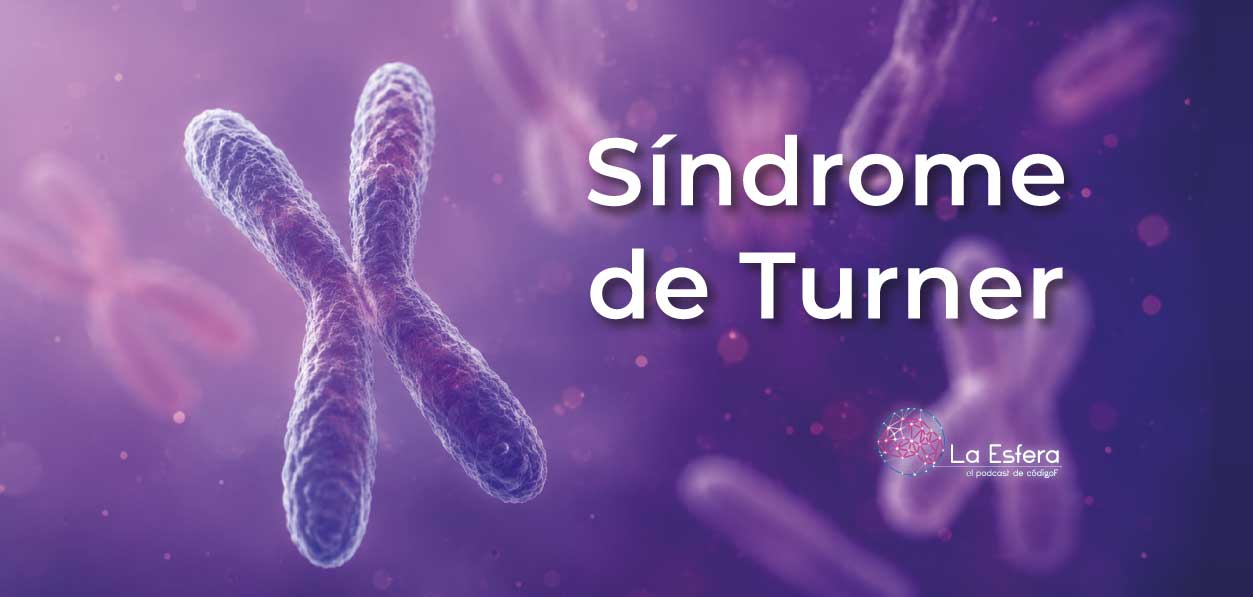 Síndrome de Turner | 31 de agosto de 2026 | Escúchelo ahora