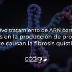 Un nuevo tratamiento de ARN corrige los errores en la producción de proteínas que causan la fibrosis quística