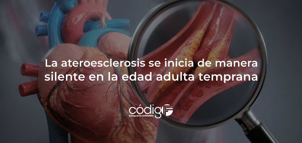 La ateroesclerosis se inicia de manera silente en la edad adulta temprana
