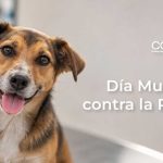 Día Mundial contra la Rabia