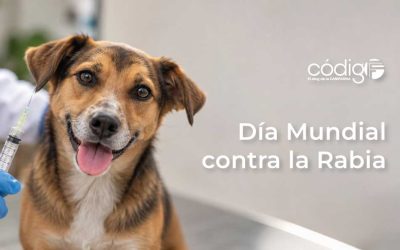 Día Mundial contra la Rabia