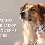 El gusano barrenador en pequeñas especies | 28 de septiembre de 2026 | Escúchelo ahora