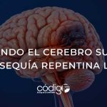 Cuando el cerebro sufre una sequía repentina letal