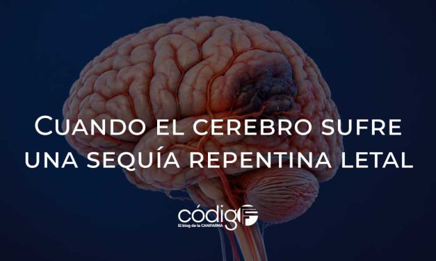 Cuando el cerebro sufre una sequía repentina letal
