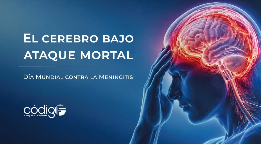 DiaMundialcontralaMeningitis