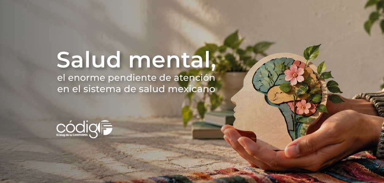 Salud mental, el enorme pendiente de atención en el sistema de salud mexicano